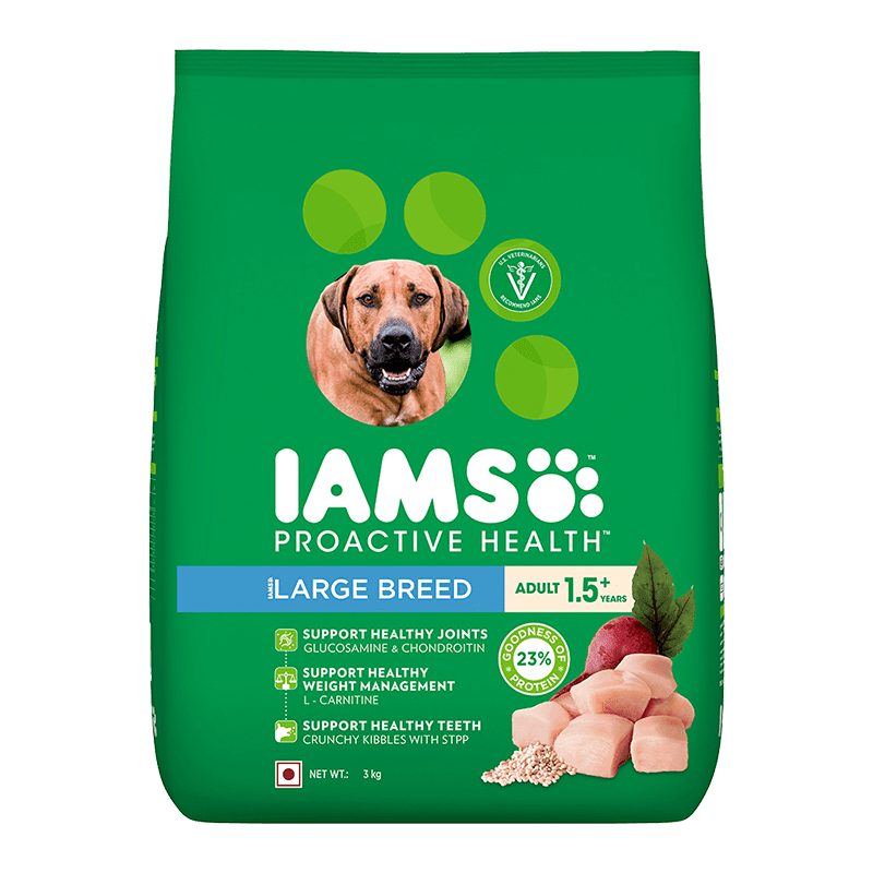 IAMS Adult large breed - 1