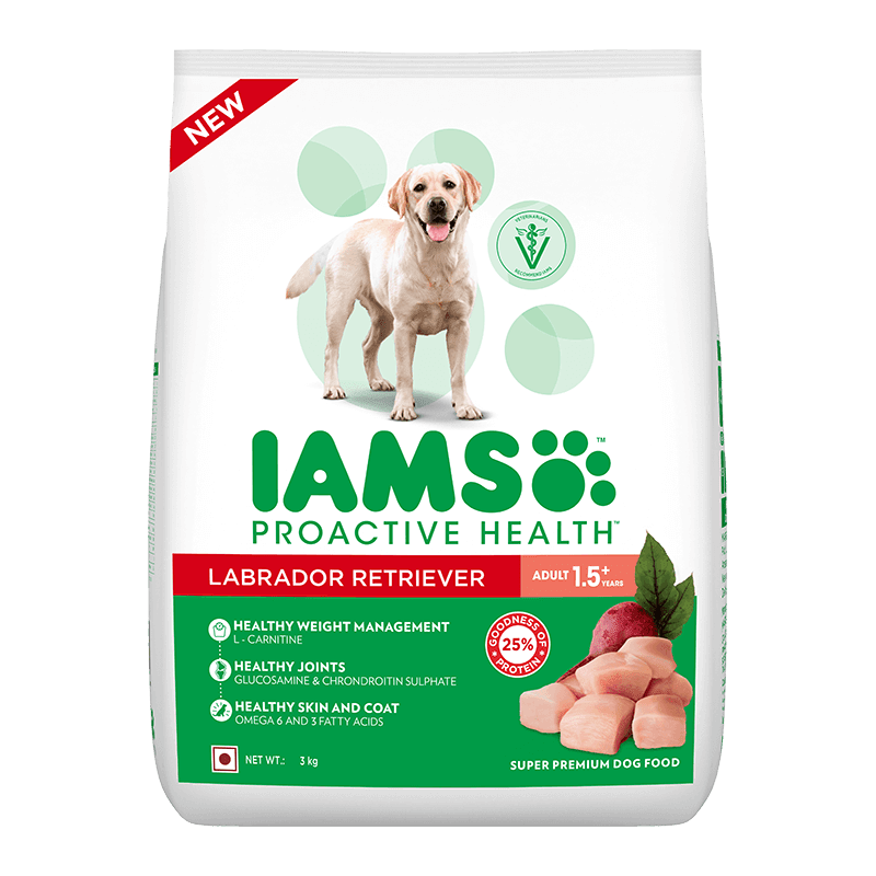 IAMS adult Labrador - 1