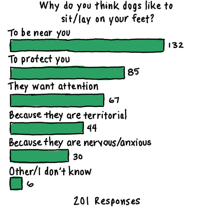 Reading Your Dog's Body Language