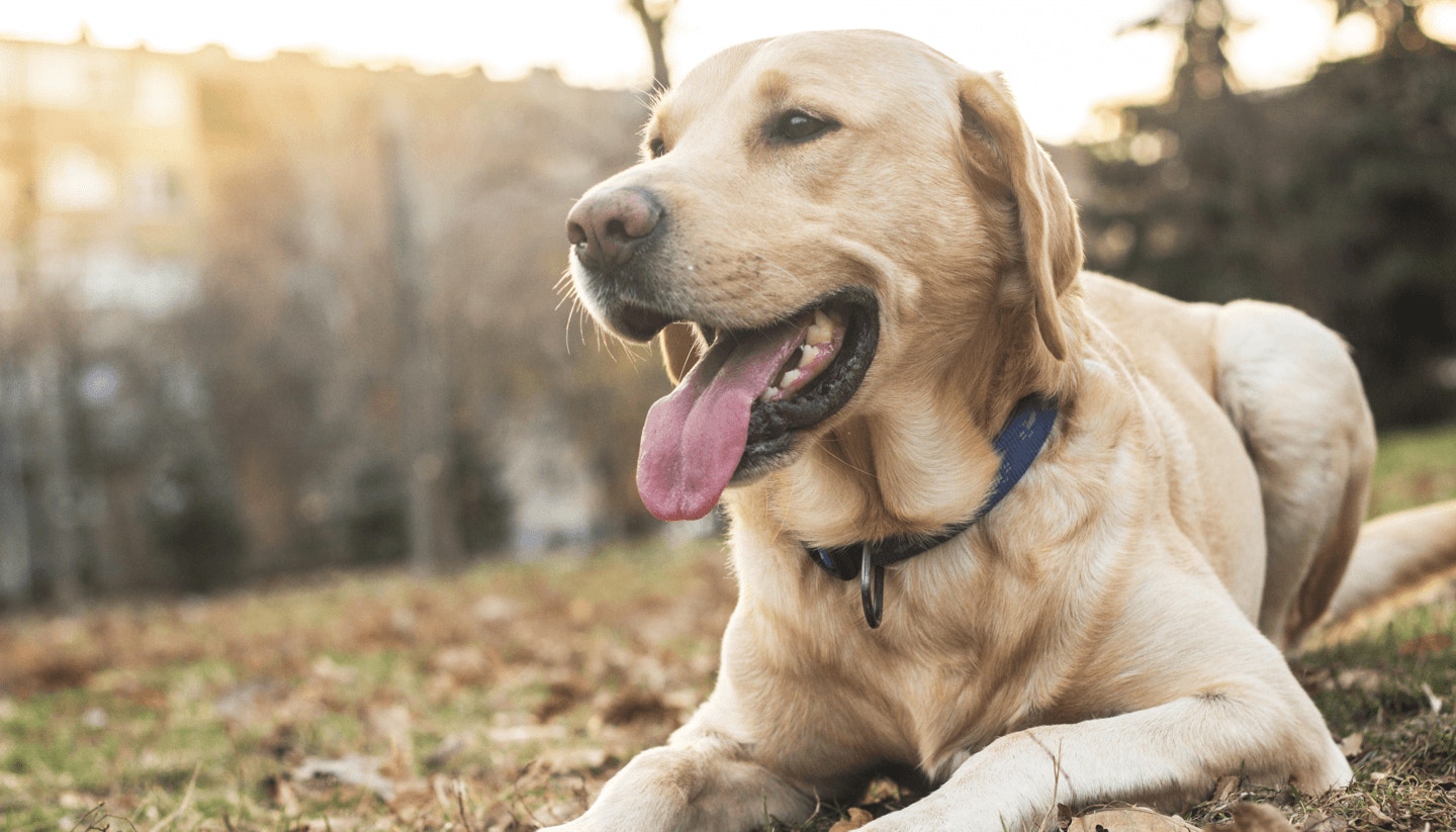 content-hub-featured-content