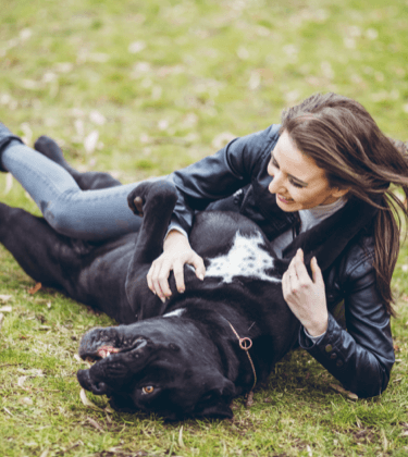 IAMS Dog Breed Selector Quiz What s the Best Dog Breed for Me