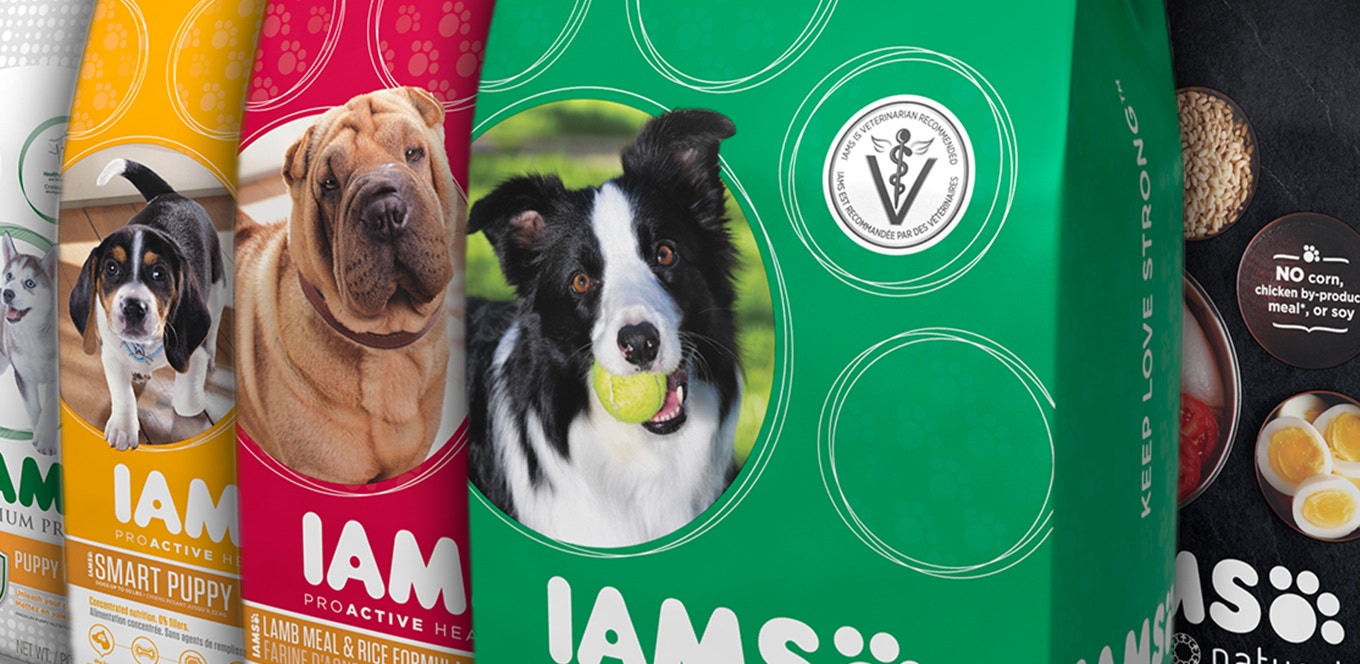 how to evaluate which food is best for your dog header