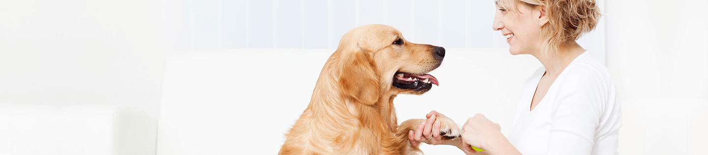 Caring for Your Dog’s Joint Health