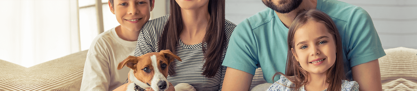 How to choose a puppy that is right for your family