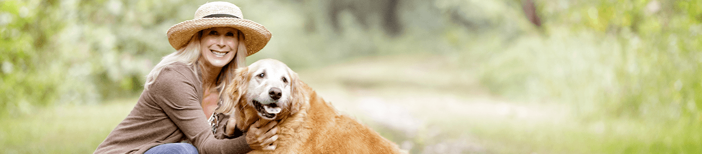 Your Senior Dog’s Health from 7 Years On