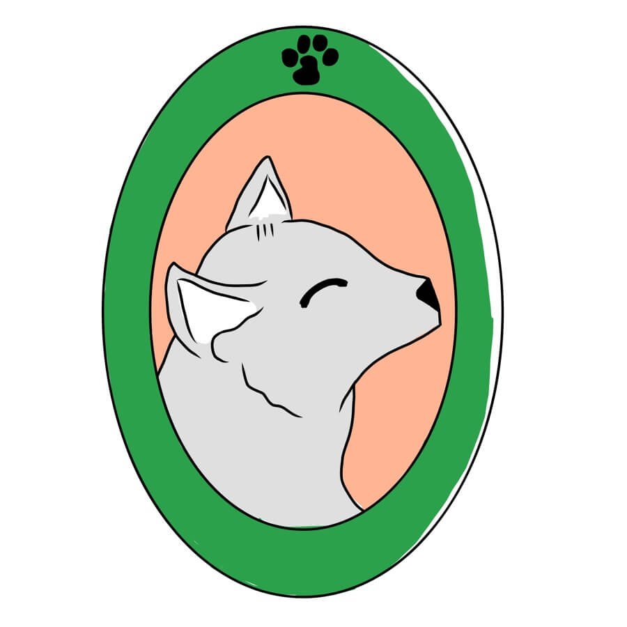 cat-portrait-900w