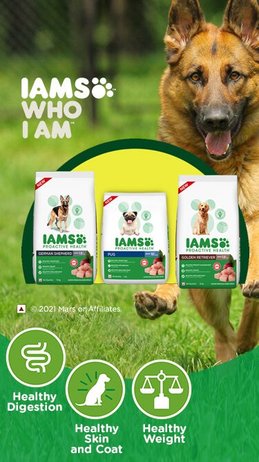 Iams proactive health german shepherd shop