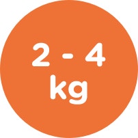 2 4 kg icon