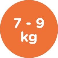 7 9 kg icon