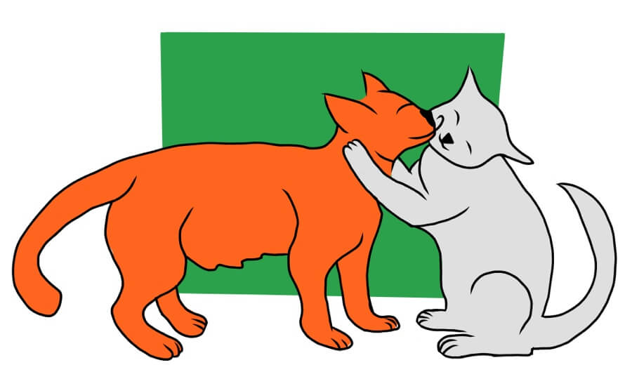 two-cats-900w