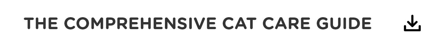 The Comprehensive Cat Care Guide