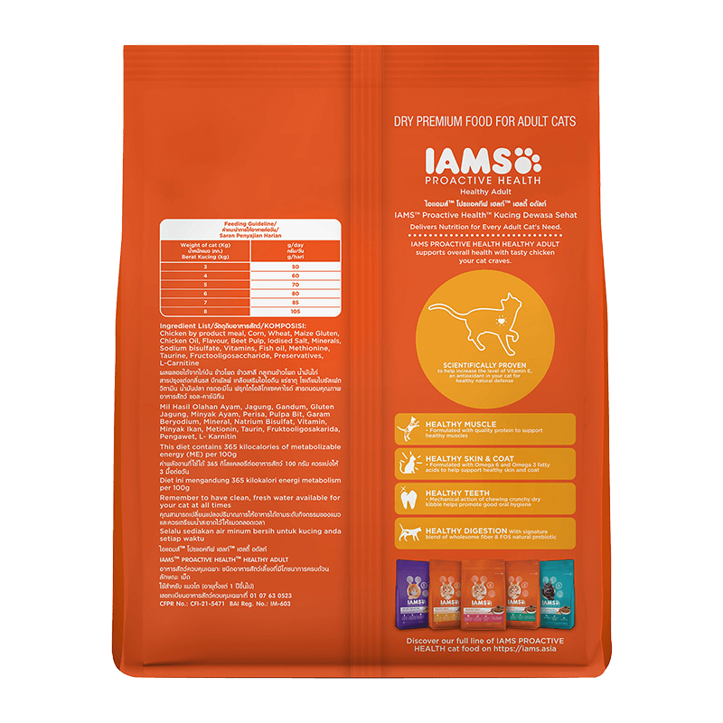 Iams diet cat online food