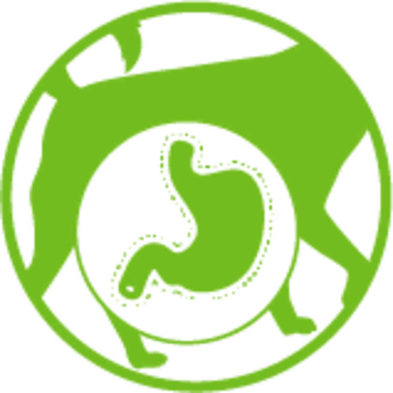 <p>HEALTHY DIGESTIVE SYSTEM - prebiotics&nbsp;to support healthy digestive system.</p>