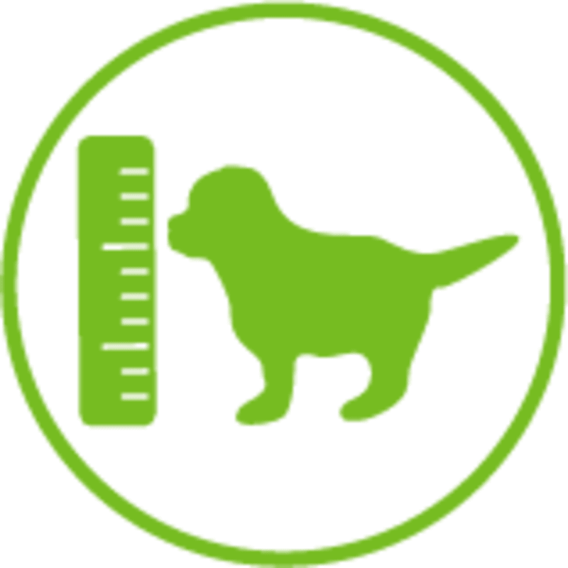 <p>HEALTHY COGNITION - with DHA to support Trainability</p>