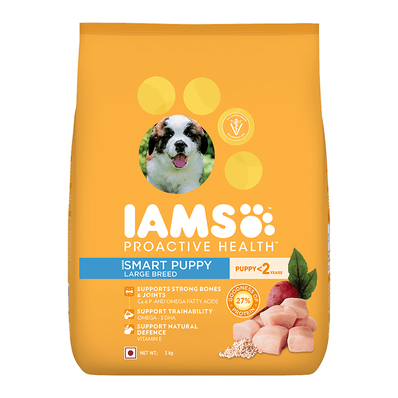 IAMS Puppy large breed - 1