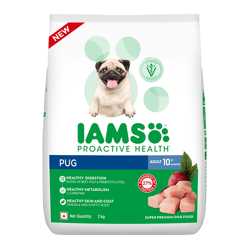 Iams small and toy breed dog food online