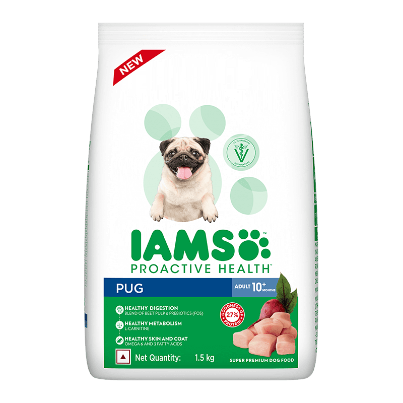 IAMS adult Pug - 1