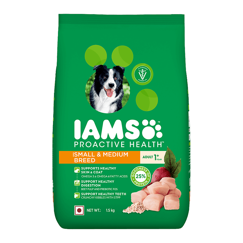 IAMS adult small and medium breed - 1