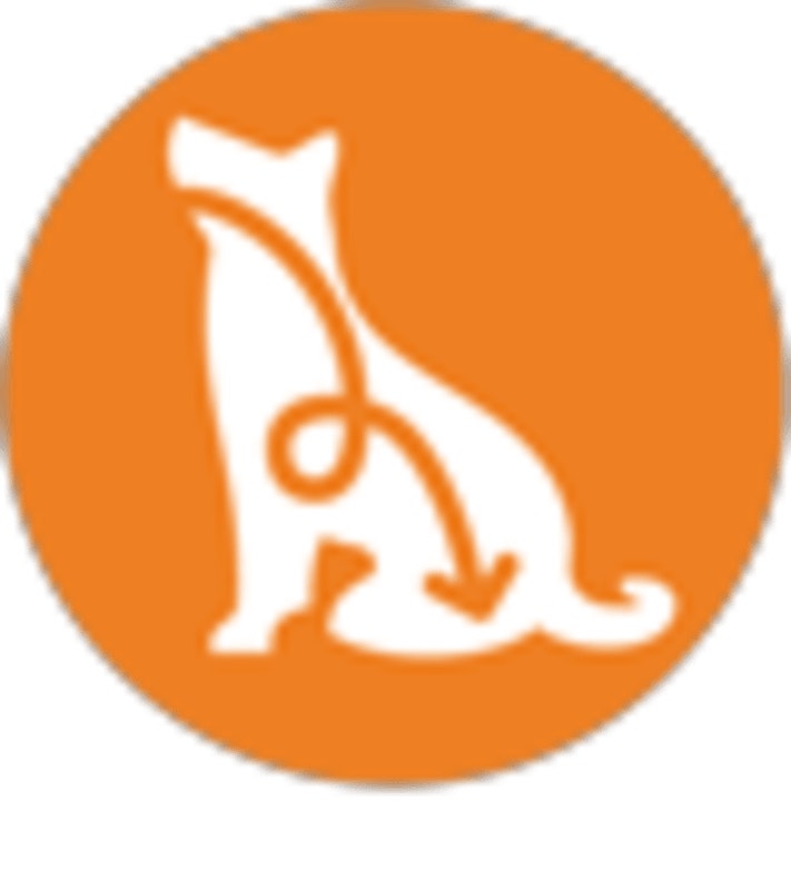 <p>Healthy digestion: Unique fiber blend with prebiotics & beet pulp support your cat's ability to absorb nutrients.</p>