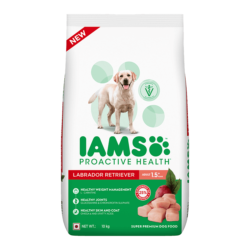 Labrador Food IAMS Proactive Health Adult Labrador Retriever