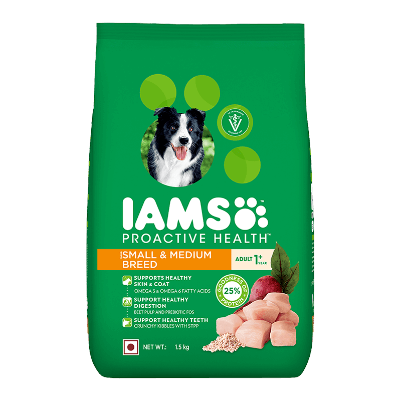 Iams labrador food hot sale