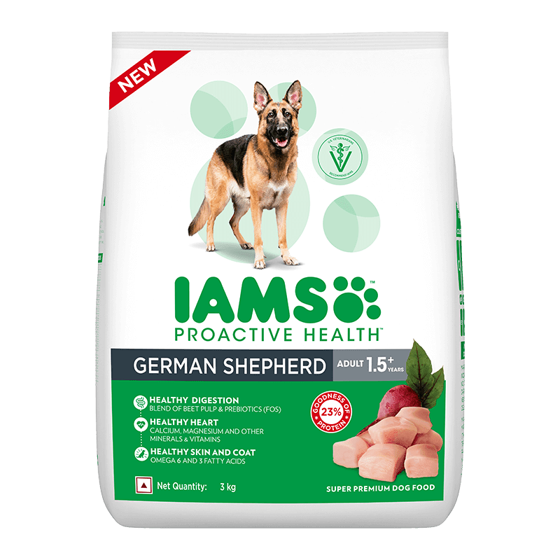 Tips To Achieve Ideal Weight For Dog - IAMS™ Singapore