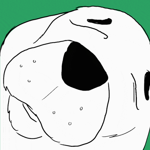 Why Do Dogs Sleep So Much? IAMS