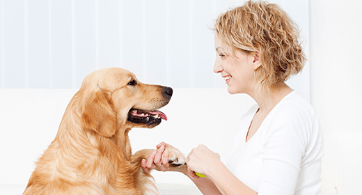 Caring for Your Dog’s Joint Health-mob