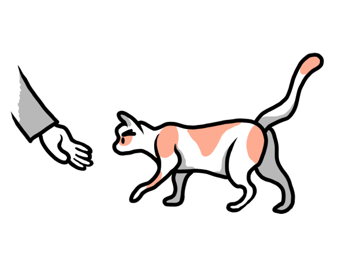 The Many Perks of Being a Cat Person