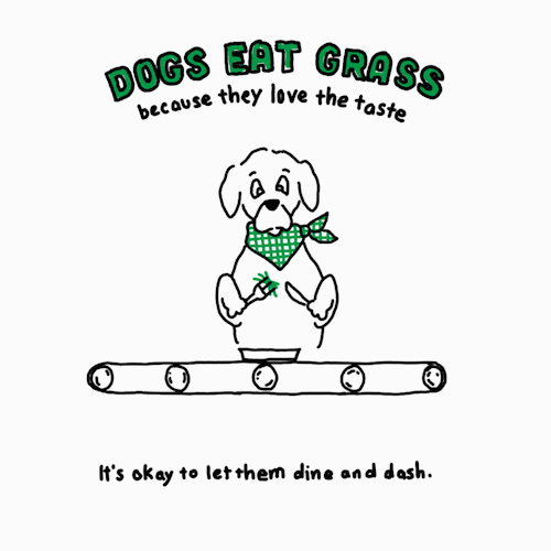 eatgrass fr dog